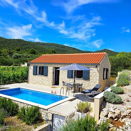 Račišće Stone House In Vineyard 빌라 외부 사진