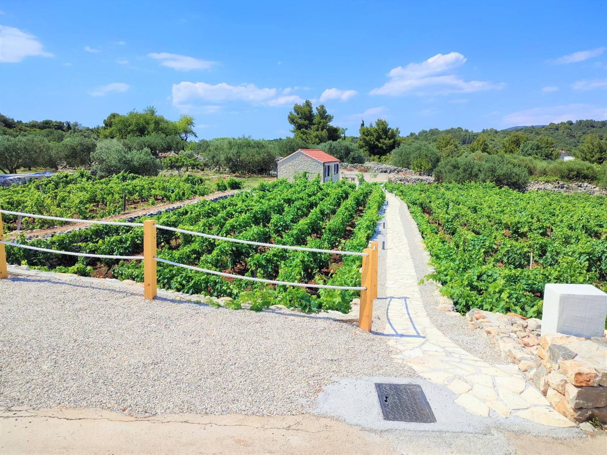 Račišće Stone House In Vineyard 빌라 외부 사진