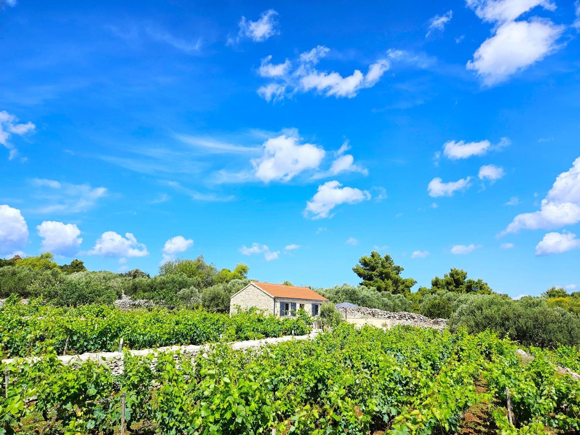 Račišće Stone House In Vineyard 빌라 외부 사진