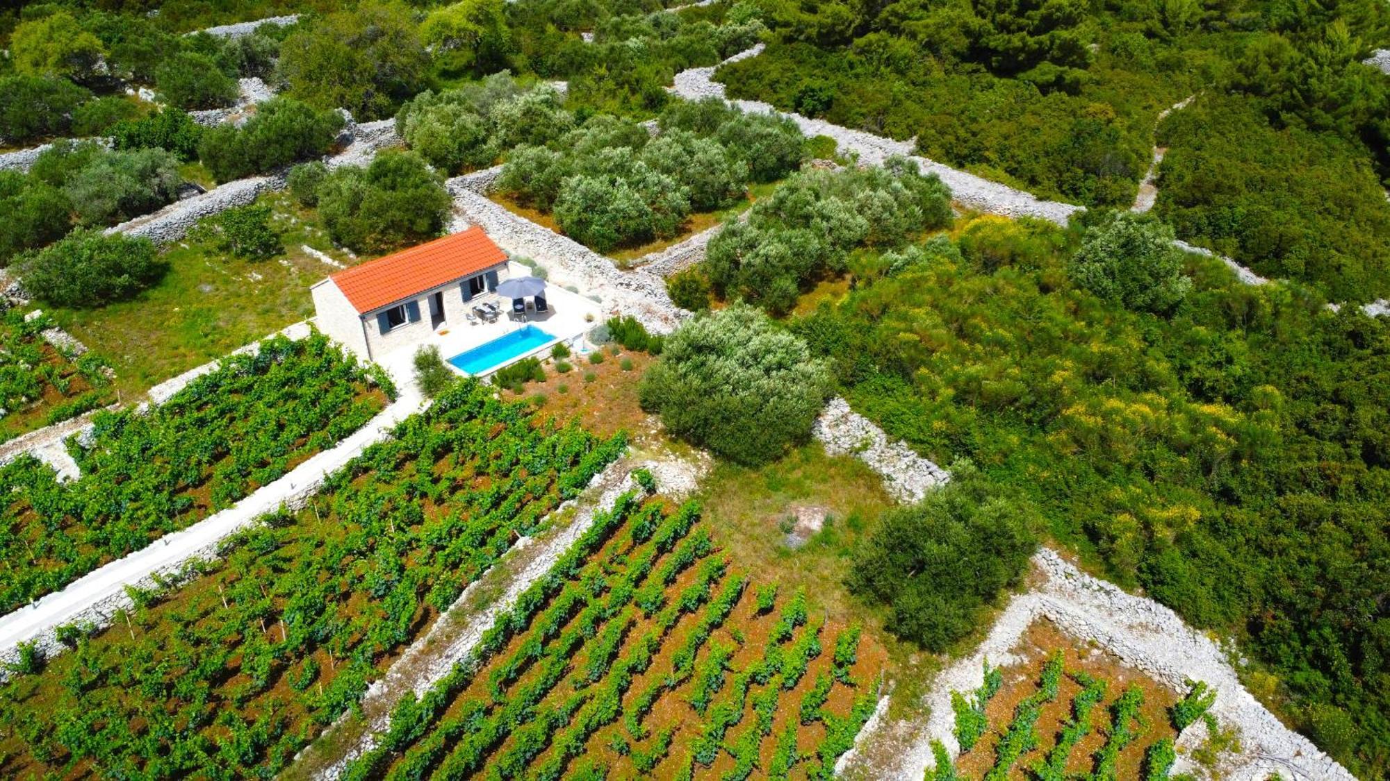 Račišće Stone House In Vineyard 빌라 외부 사진